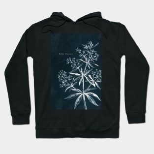 Cyanotype - Rubia Tinctora - C Hoodie